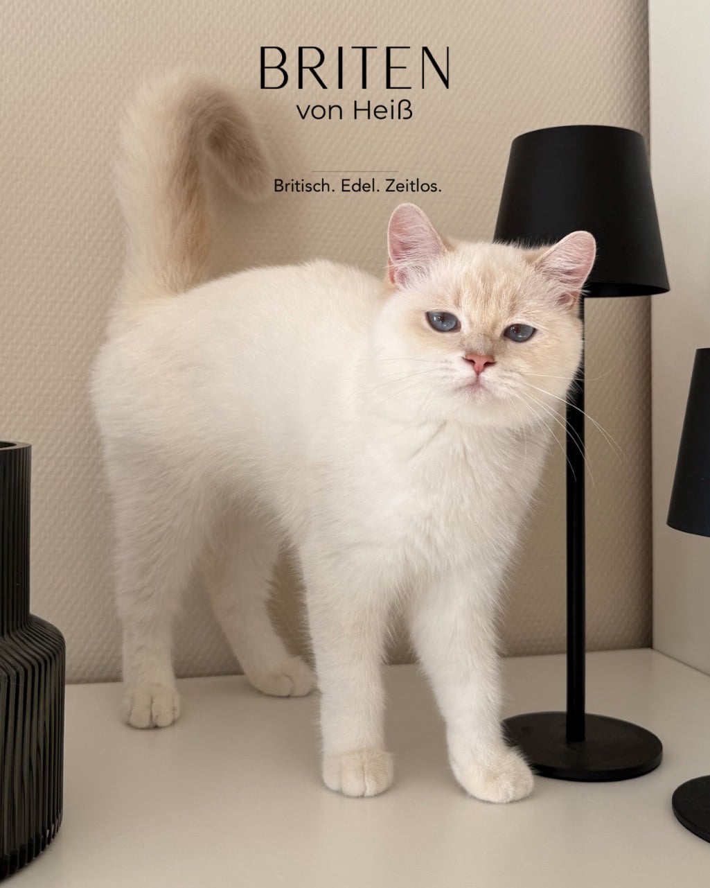 Aurum Minka von Heiß